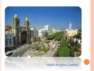 Habib Burgiba Caddesi 
 