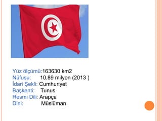 Yüz ölçümü:163630 km2 
Nüfusu: 10,89 milyon (2013 ) 
İdari Şekli: Cumhuriyet 
Başkenti: Tunus 
Resmi Dili: Arapça 
Dini: Müslüman 
 