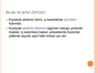İKLIMI VE BITKI ÖRTÜSÜ 
 Kıyılarda akdeniz iklimi, iç kesimlerde çöl iklimi 
hakimdir. 
 Kuzeyde akdeniz ikliminin egemen olduğu yerlerde 
makiler, iç kesimlere bakan yükseklerde bozkırlar, 
çöllerde seyrek zayıf bitki örtüsü yer alır. 
 