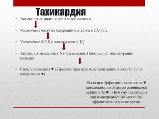•
           Тахикардия
    Активация симпато-адреналовой системы

• Увеличение частоты генерации импульса в СА узле

• Увеличение МОК и высоты плато ПД

• Активация медленных Na- Ca каналов. Повышение концентрации
  кальция

• Сила сокращения ♥ возрастает(при неизмененной длине миофибрилл и
  нагрузки на ♥)

                                       В связи с эффектами влияния на ♥
                                      катехоламинов ,быстро развивается
                                      дефицит АТФ . Поэтому тахикардия
                                        как компенсаторный механизм
                                          эффективна недолгое время.
 