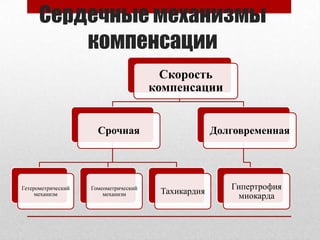 Сердечные механизмы
          компенсации
                                         Скорость
                                       компенсации


                      Срочная                        Долговременная




Гетерометрический   Гомеометрический                    Гипертрофия
                                        Тахикардия
     механизм           механизм                         миокарда
 