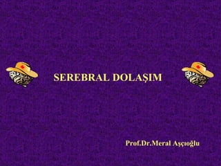 SEREBRAL DOLAŞIM




          Prof.Dr.Meral Aşçıoğlu
 