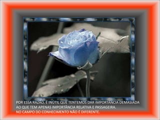 POR ESSA RAZÃO, É INÚTIL QUE TENTEMOS DAR IMPORTÂNCIA DEMASIADA
AO QUE TEM APENAS IMPORTÂNCIA RELATIVA E PASSAGEIRA.
NO CAMPO DO CONHECIMENTO NÃO É DIFERENTE.
 