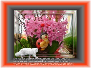 MUITOS NOS DIZEMOS CONHECEDORES DESTA OU DAQUELA
FILOSOFIA, MAS ENQUANTO NÃO AS VIVENCIAMOS DE FATO,
TEMOS A TEORIA, MAS NÃO SOMOS VERDADEIRAMENTE SÁBIOS.
 