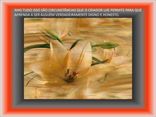 MAS TUDO ISSO SÃO CIRCUNSTÂNCIAS QUE O CRIADOR LHE PERMITE PARA QUE
APRENDA A SER ALGUÉM VERDADEIRAMENTE DIGNO E HONESTO.
 