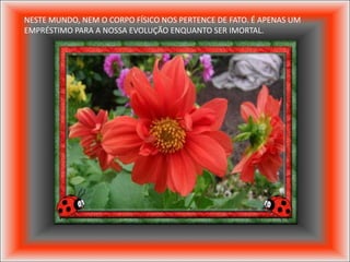 NESTE MUNDO, NEM O CORPO FÍSICO NOS PERTENCE DE FATO. É APENAS UM
EMPRÉSTIMO PARA A NOSSA EVOLUÇÃO ENQUANTO SER IMORTAL.
 