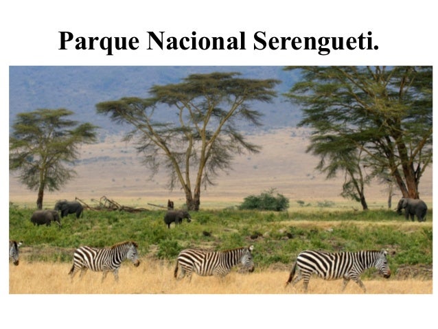 El Parque Nacional Serengueti