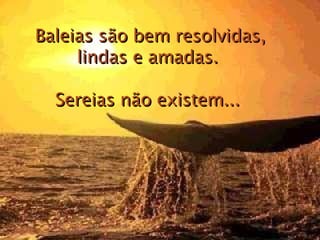 Baleias são bem resolvidas, lindas e amadas.  Sereias não existem...  