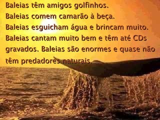 Baleias têm amigos golfinhos.  Baleias comem camarão à beça.  Baleias esguicham água e brincam muito.  Baleias cantam muito bem e têm até CDs gravados.   Baleias são enormes e quase não têm predadores naturais.   