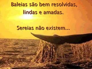 Baleias são bem resolvidas, lindas e amadas.  Sereias não existem...  