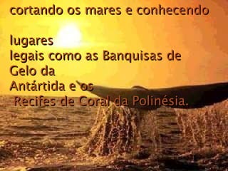 cortando os mares e conhecendo  lugares  legais como as Banquisas de  Gelo da  Antártida e os  Recifes de Coral da Polinésia.   