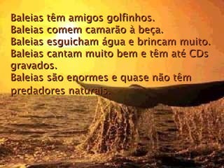 Baleias têm amigos golfinhos.  Baleias comem camarão à beça.  Baleias esguicham água e brincam muito.  Baleias cantam muito bem e têm até CDs gravados.   Baleias são enormes e quase não têm predadores naturais.   