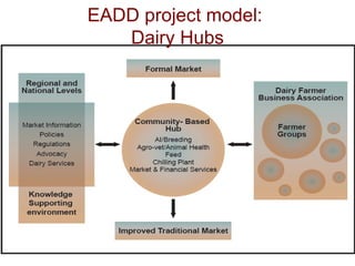 Sustainable livelihoods through livestock farming in East Africa