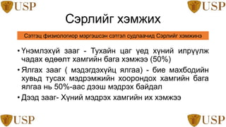 Сэрэлийн физиологи үндэс | PPT