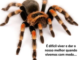 É difícil viver e dar o nosso melhor quando vivemos com medo... 