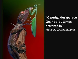 “ O perigo desaparece Quando  ousamos enfrentá-lo” François Chateaubriand 