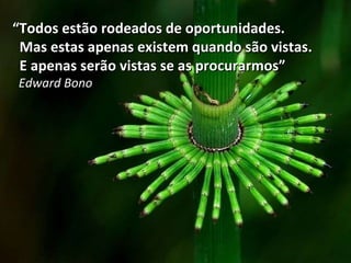 “ Todos estão rodeados de oportunidades. Mas estas apenas existem quando são vistas. E apenas serão vistas se as procurarmos” Edward Bono 