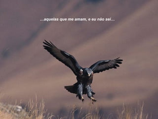 …aquelas que me amam, e eu não sei…
 