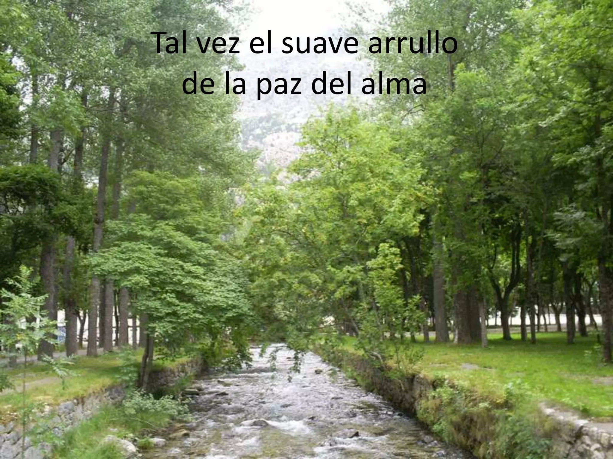 Tal vez el suave arrullo de la paz del alma