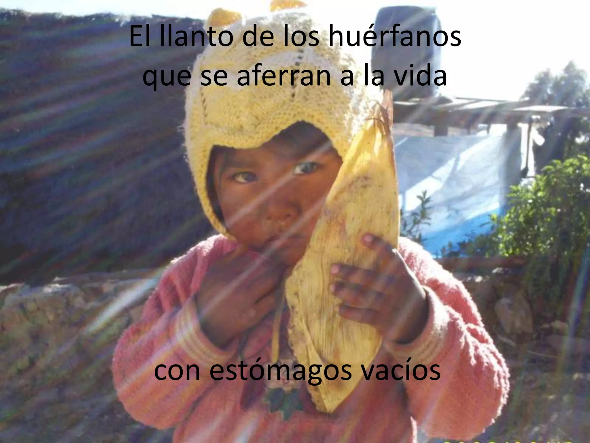 con estómagos vacíosEl llanto de los huérfanosque se aferran a la vida