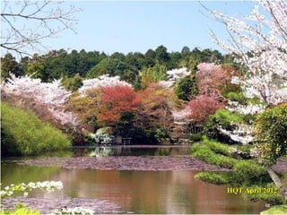 HQT April 2012
          48
 