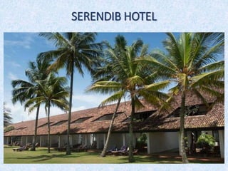 SERENDIB HOTEL
 
