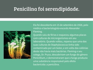 Penicilina foi serendipidade.
Ela foi descoberta em 15 de setembro de 1928, pelo
médico e bacteriologista escocês Alexander
Fleming.
Quando saiu de férias e esqueceu algumas placas
com culturas de microrganismos em seu
laboratório. Quando voltou, reparou que uma das
suas culturas de Staphylococcus tinha sido
contaminada por um bolor, e em volta das colônias
deste não havia mais bactérias. Fleming e seu
colega, Dr. Pryce, descobriram um fungo do gênero
Penicillium, e demonstraram que o fungo produzia
uma substância responsável pelo efeito
bactericida: a penicilina.
 