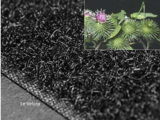 Le Velcro
 