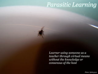 Serendipity 2.0: Missing Third Places of Learning