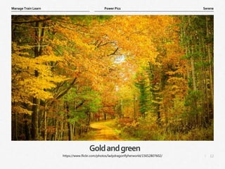 12
|
Serene
Manage Train Learn Power Pics
Goldandgreen
https://www.flickr.com/photos/ladydragonflyherworld/15652807602/
 