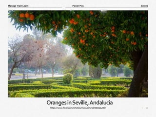 14
|
Serene
Manage Train Learn Power Pics
OrangesinSeville,Andalucia
https://www.flickr.com/photos/massalim/16488311286/
 