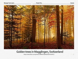 17
|
Serene
Manage Train Learn Power Pics
GoldentreesinMagglingen,Switzerland
https://www.flickr.com/photos/34804353@N02/8124224972/
 