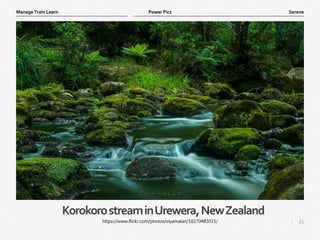 21
|
Serene
Manage Train Learn Power Pics
KorokorostreaminUrewera,NewZealand
https://www.flickr.com/photos/siyamalan/16170483015/
 