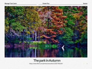 4
|
Serene
Manage Train Learn Power Pics
TheparkinAutumn
https://www.flickr.com/photos/wwootton/12017781524/
 