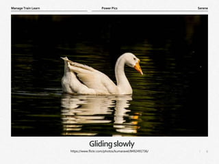 6
|
Serene
Manage Train Learn Power Pics
Glidingslowly
https://www.flickr.com/photos/kumaravel/8492491736/
 