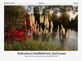 8
|
Serene
Manage Train Learn Power Pics
BullrushesinSheffieldPark,EastSussex
https://www.flickr.com/photos/henry_hemming/10872704126/
 