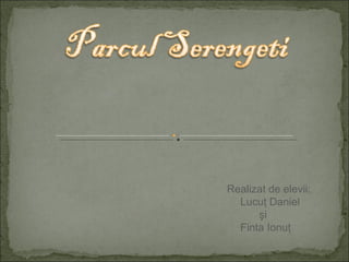 Realizat de elevii: Lucuţ Daniel şi Finta Ionuţ 