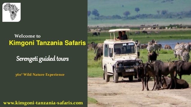 Welcome to
Kimgoni Tanzania Safaris
Serengeti guided tours
www.kimgoni-tanzania-safaris.com
360° Wild Nature Experience
 