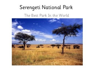 Serengeti National Park
The Best Park In the World
 