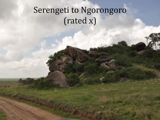 Serengeti to Ngorongoro(rated x) 