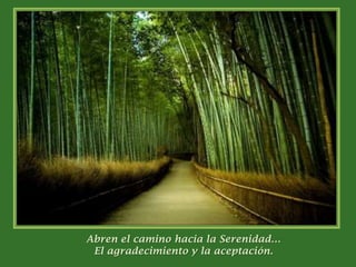 Abren el camino hacia la Serenidad…El agradecimiento y la aceptación.