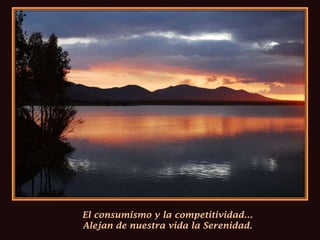 El consumismo y la competitividad…Alejan de nuestra vida la Serenidad.