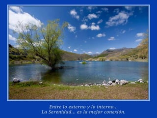 Entre lo externo y lo interno…La Serenidad… es la mejor conexión.