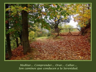 Meditar… Comprender… Orar… Callar…Son caminos que conducen a la Serenidad. 
