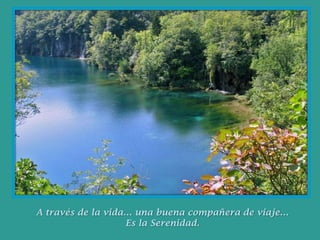 A través de la vida… una buena compañera de viaje…Es la Serenidad.