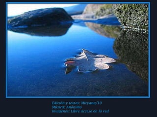 Edición y textos: Miryana/10Música: AnónimoImágenes: Libre acceso en la red