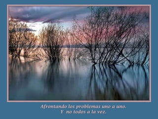 Afrontando los problemas uno a uno.Y  no todos a la vez.