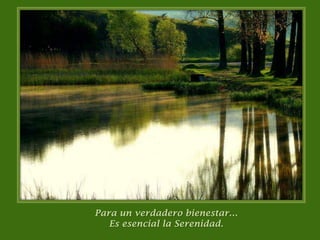 Para un verdadero bienestar…Es esencial la Serenidad.