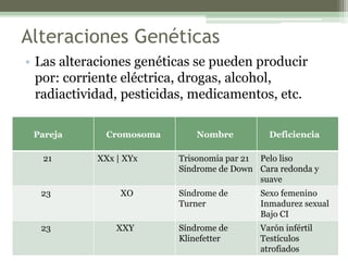 Alteraciones Genéticas
• Las alteraciones genéticas se pueden producir
por: corriente eléctrica, drogas, alcohol,
radiactividad, pesticidas, medicamentos, etc.
Pareja Cromosoma Nombre Deficiencia
21 XXx | XYx Trisonomia par 21
Síndrome de Down
Pelo liso
Cara redonda y
suave
23 XO Síndrome de
Turner
Sexo femenino
Inmadurez sexual
Bajo CI
23 XXY Síndrome de
Klinefetter
Varón infértil
Testículos
atrofiados
 