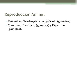 Reproducción Animal
• Femenino: Ovario (gónadas) y Ovulo (gametos).
• Masculino: Testículo (gónadas) y Espermio
(gametos).
 